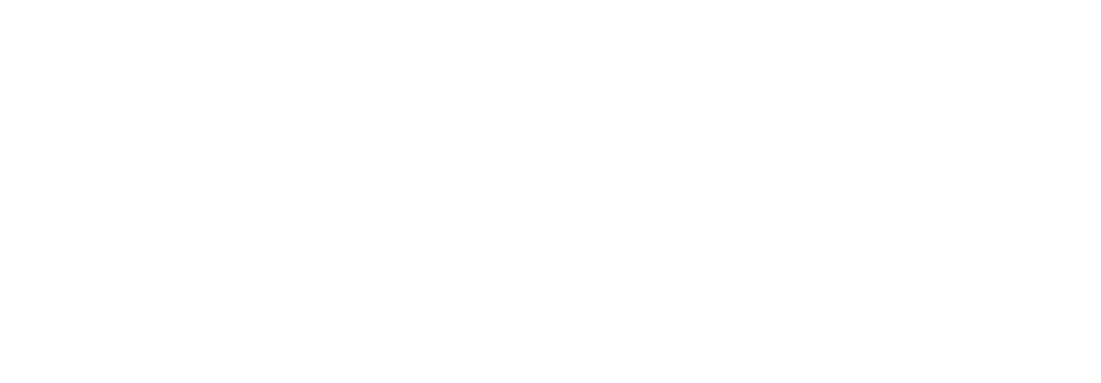 Zdunek Consulting